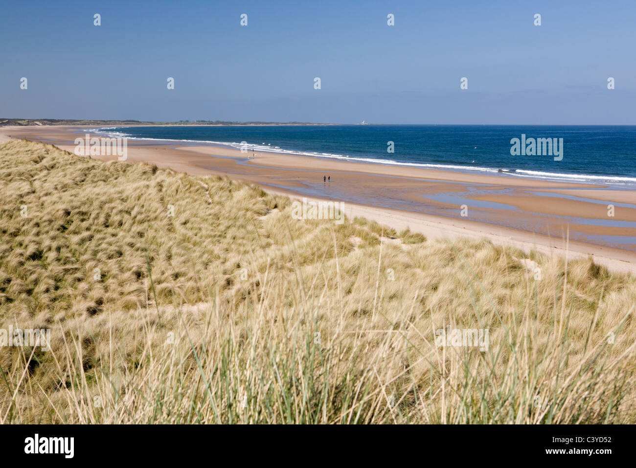 Druridge Bay auf der Northumberland Küste ist eine Country Park und auch durch Pläne für Tagebau bedroht Stockfoto