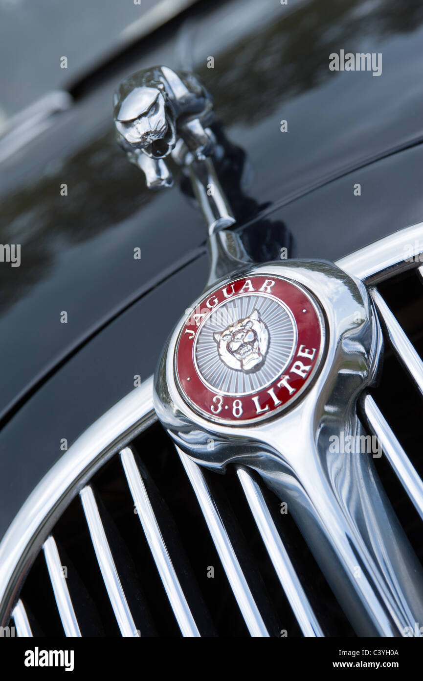 Jaguar Mk II 3.8 Liter Kapuze / Mütze Grill, Ornament und Abzeichen Detail Stockfoto