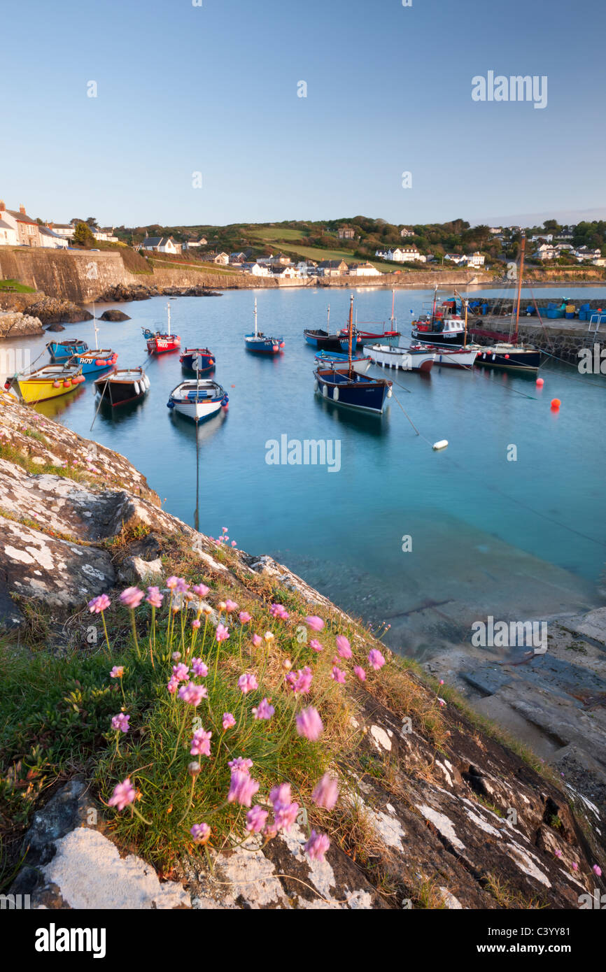 Am frühen Morgen Hafen Szene im malerischen Fischerdorf Dorf von Coverack, Süd Cornwall, England. Frühjahr (Mai) 2011. Stockfoto