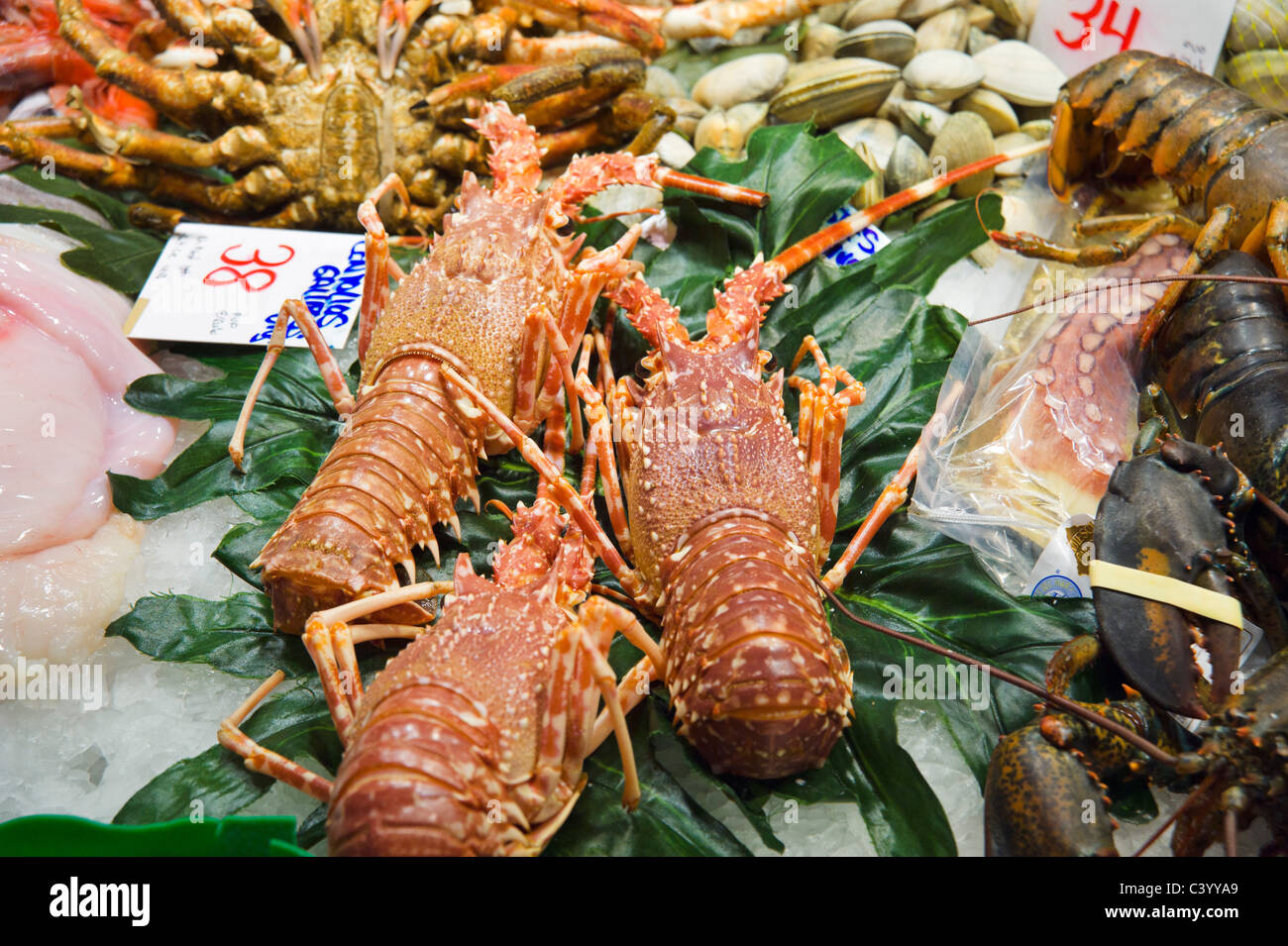 Hummer zum Verkauf in öffentlichen Markt La Boqueria, La Rambla (Las Ramblas), Barcelona, Katalonien, Spanien Stockfoto Hummer zum Verkauf in öffentlichen Markt La Boqueria, La Rambla (Las Ramblas), Barcelona, Katalonien, Spanien Stockfoto