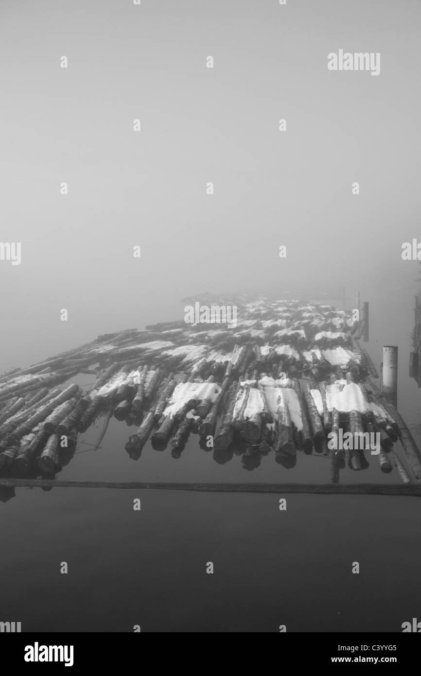 Schneebedeckte Protokolle verankert entlang des Fraser River in Port Coquitlam im Nebel - schwarz / weiß Bild, Farbe vorhanden Stockfoto