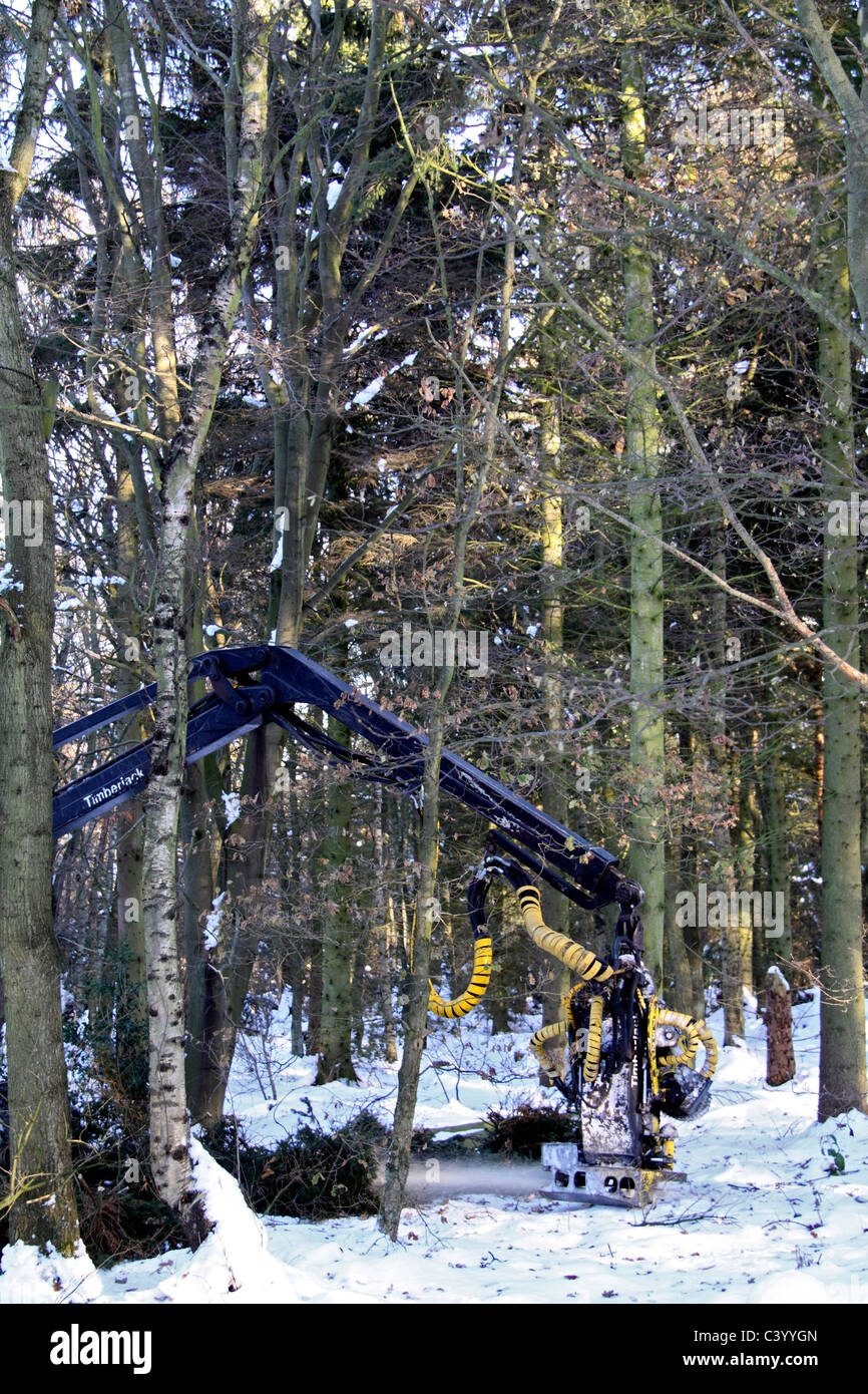 Holzernte Betrieb im Winter Stockfoto