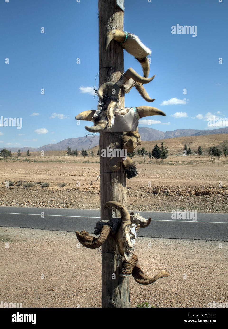 Hörner von toten Tieren auf Post auf der Straße in Marokko Stockfoto