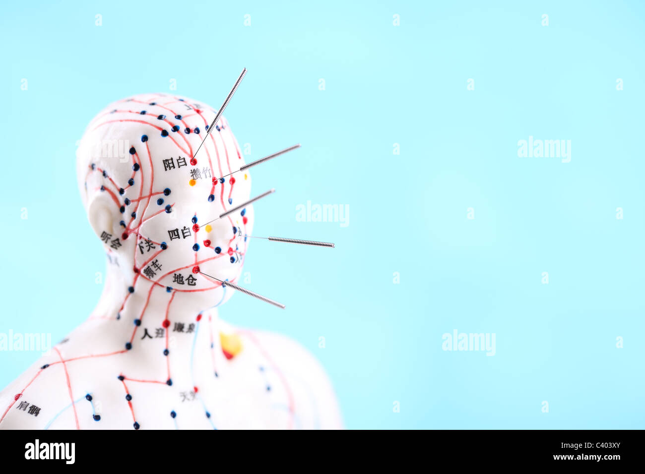 Asiatischen Akupunktur Figur auf blau mit Textfreiraum. Stockfoto