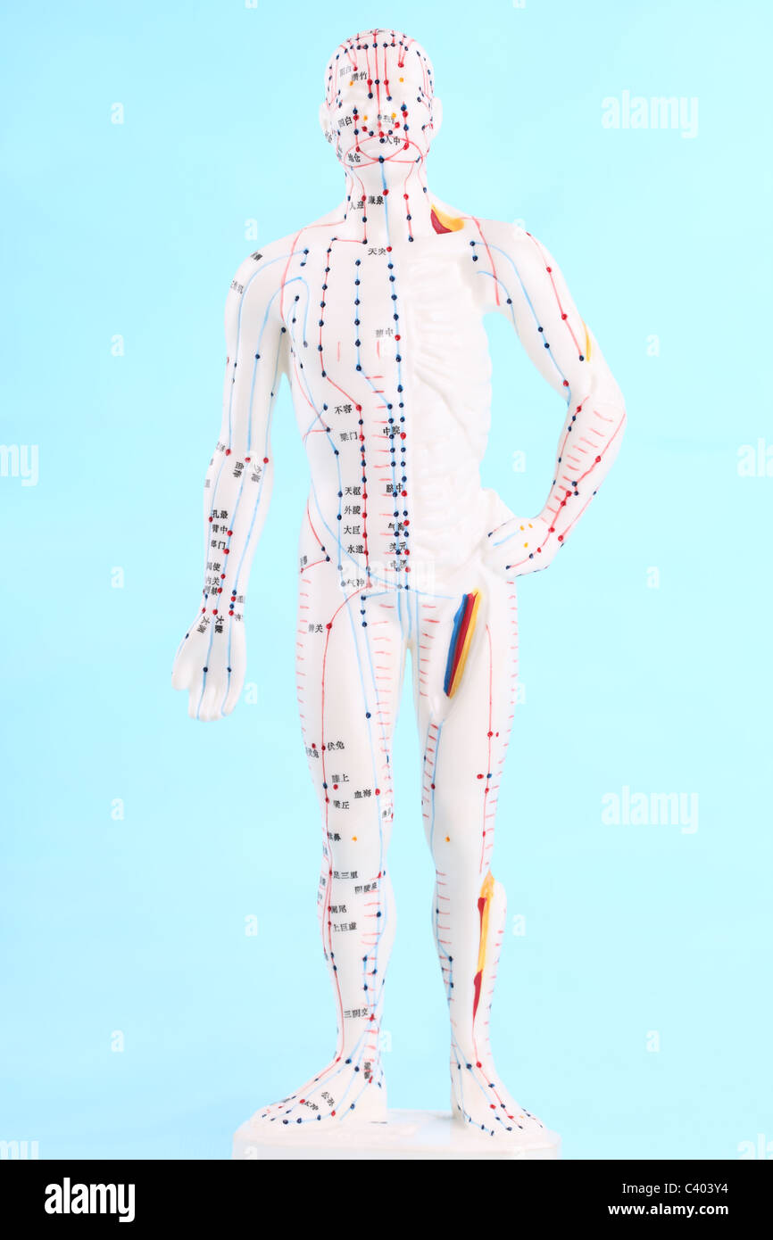 Asiatischen Akupunktur Figur auf blau mit Textfreiraum. Stockfoto