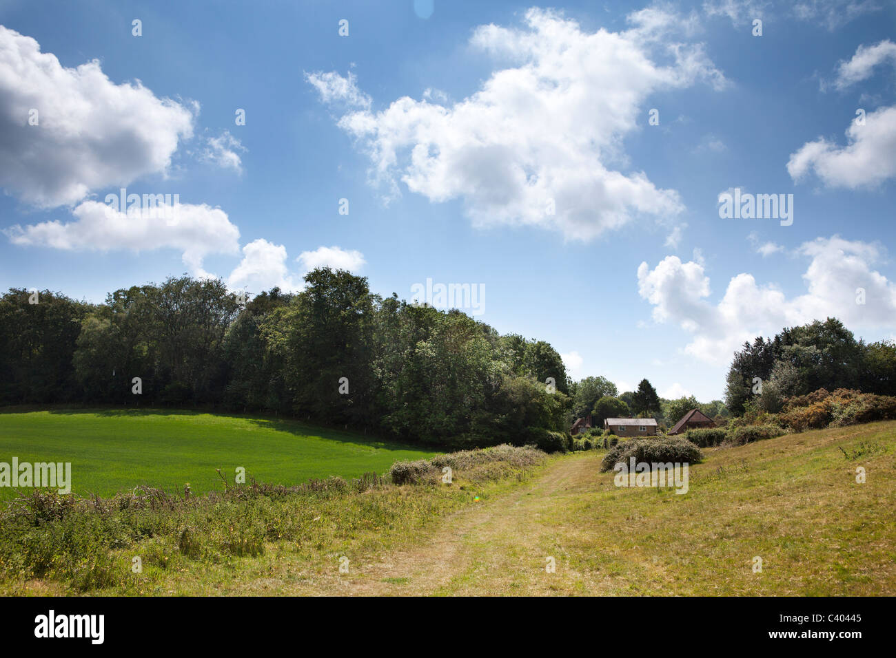 Bauernhaus in Surrey, in der Nähe von Peaslake UK Stockfoto