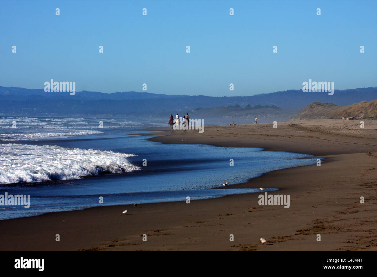 Menschen, die Reitpferde auf Moss Landing State Beach in der Nähe von den pazifischen Ozeanwellen Stockfoto