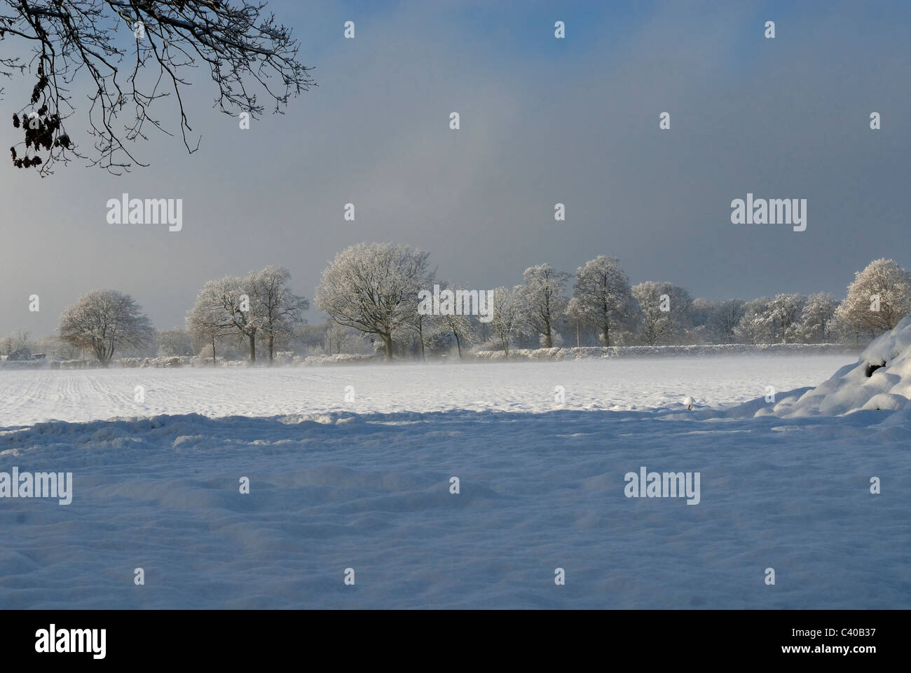 Feld an der Kreuzung der Shaws Lane und Bishopswood Road. Tadley, Hampshire, England, Vereinigtes Königreich, Vereinigtes Königreich Stockfoto