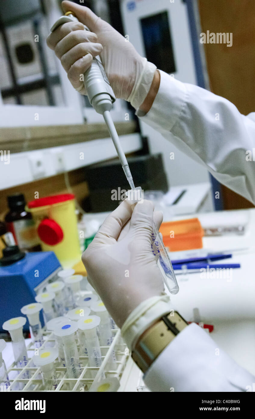 Nahaufnahme der Wissenschaftler im Labor arbeiten Stockfoto