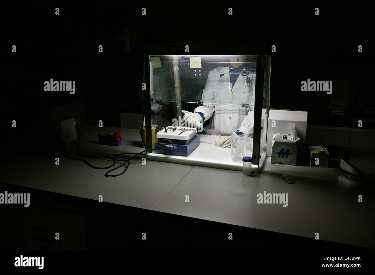 Wissenschaftler arbeiten im Labor Stockfoto