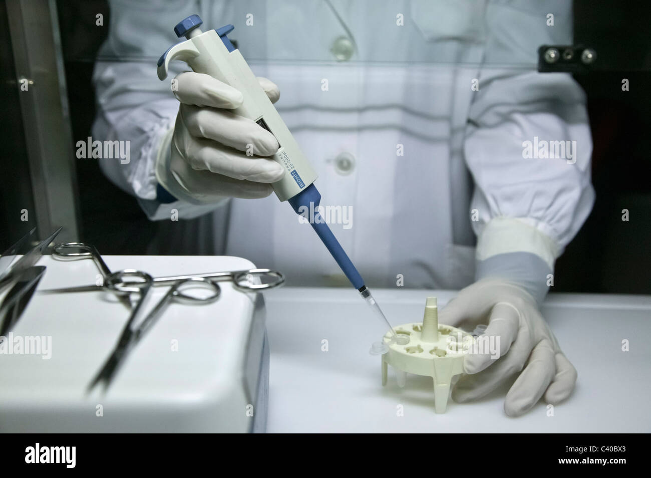 Wissenschaftler arbeiten im Labor Stockfoto