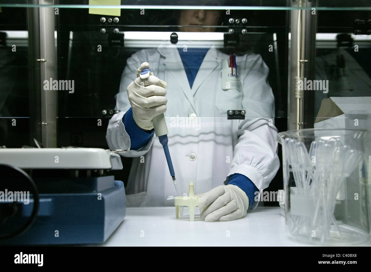 Wissenschaftler arbeiten im Labor Stockfoto