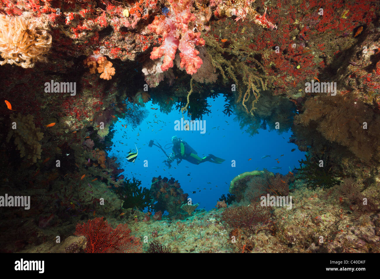 Scuba Diver hinter Swimthrough, Namena Marine Reserve, Fidschi Stockfoto