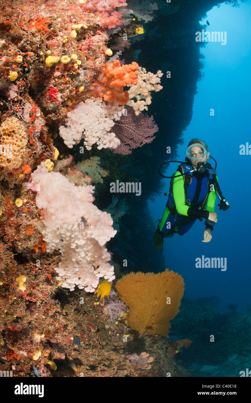 Taucher und Korallenriff, Namena Marine Reserve, Fidschi Stockfoto