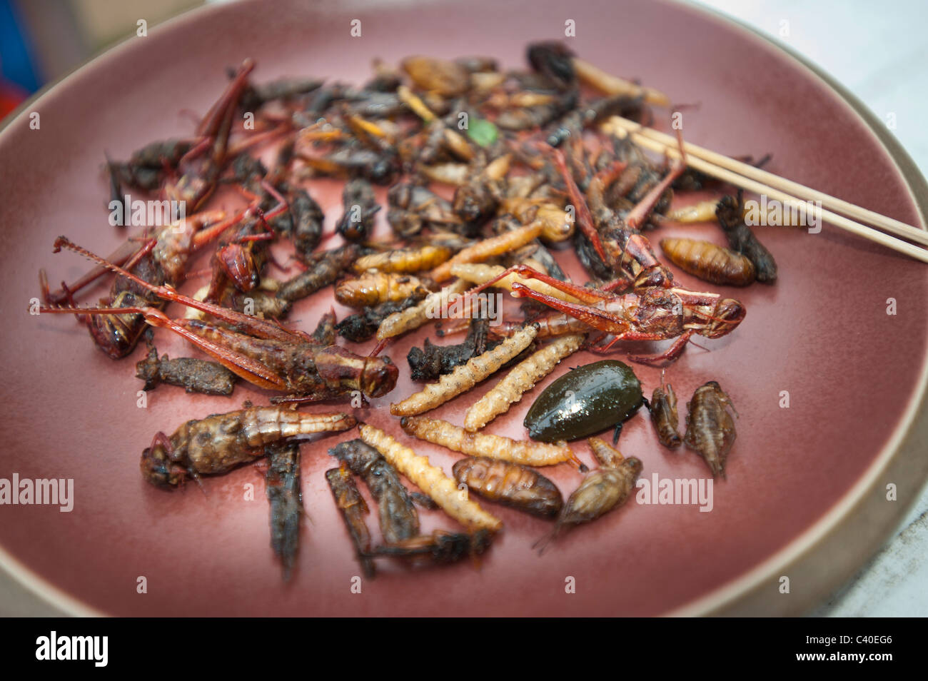 Insekten essen essen gebraten auf Platte Thailand thai thailändischen Snack Insekten leckere feine Cricket Heuschrecke Wurm Fehler made Wurm cockroac Stockfoto