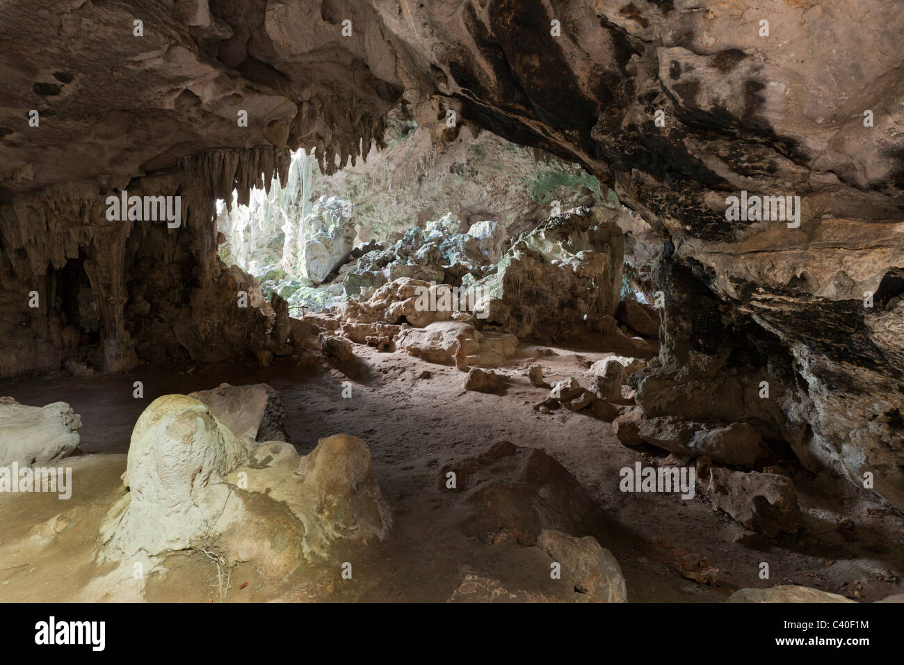 San Gabriel Tropfsteinhöhle, Nationalpark Los Haitises, Dominikanische Republik Stockfoto