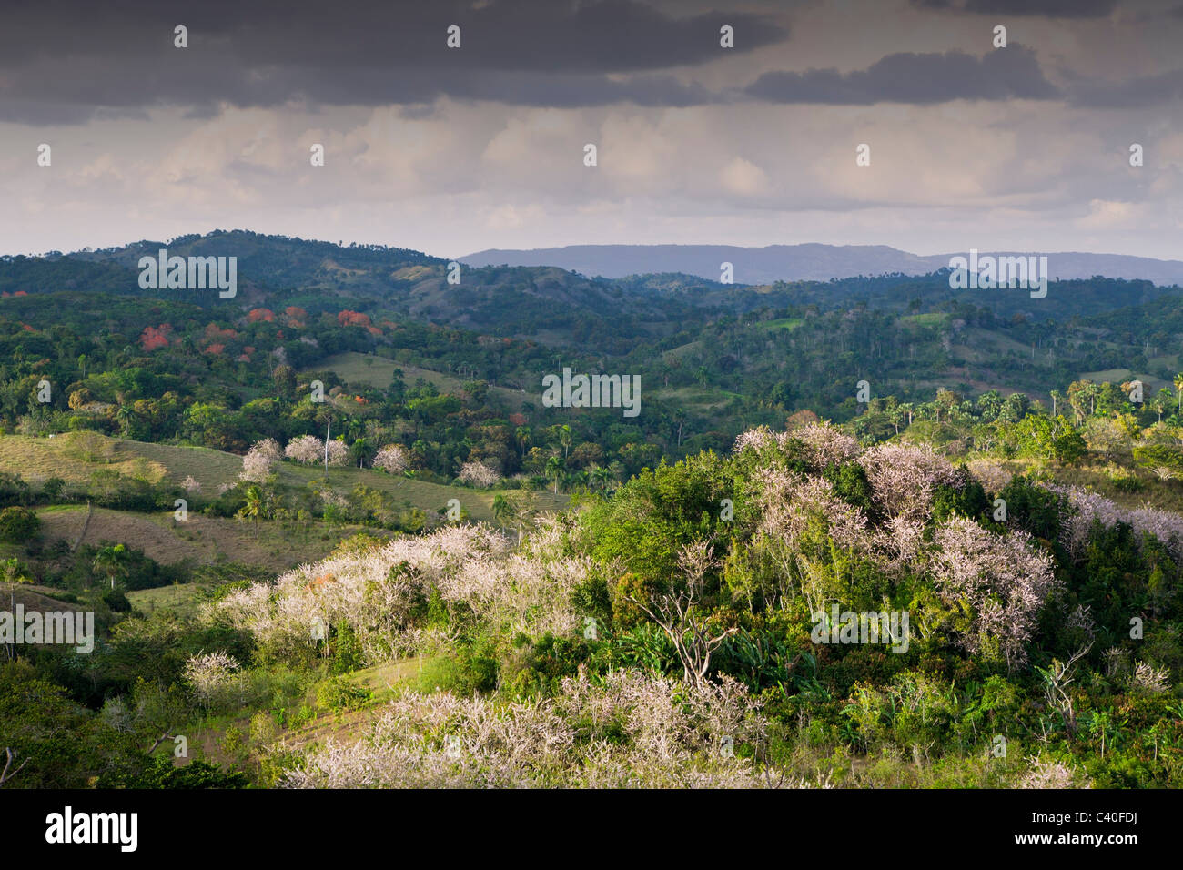 Hügel im Outback, Punta Rucia, Dominikanische Republik Stockfoto