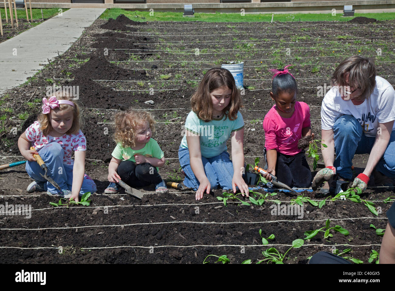 Girl Scouts Hilfe Pflanze Garten Produkte für Community Food Bank wachsen Stockfoto