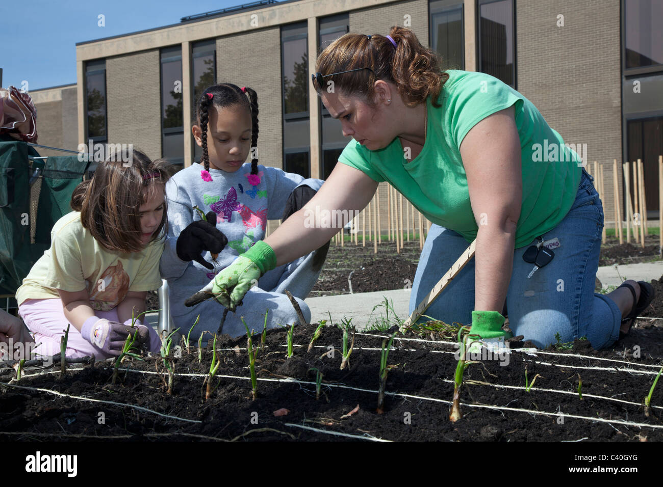 Girl Scouts Hilfe Pflanze Garten Produkte für Community Food Bank wachsen Stockfoto