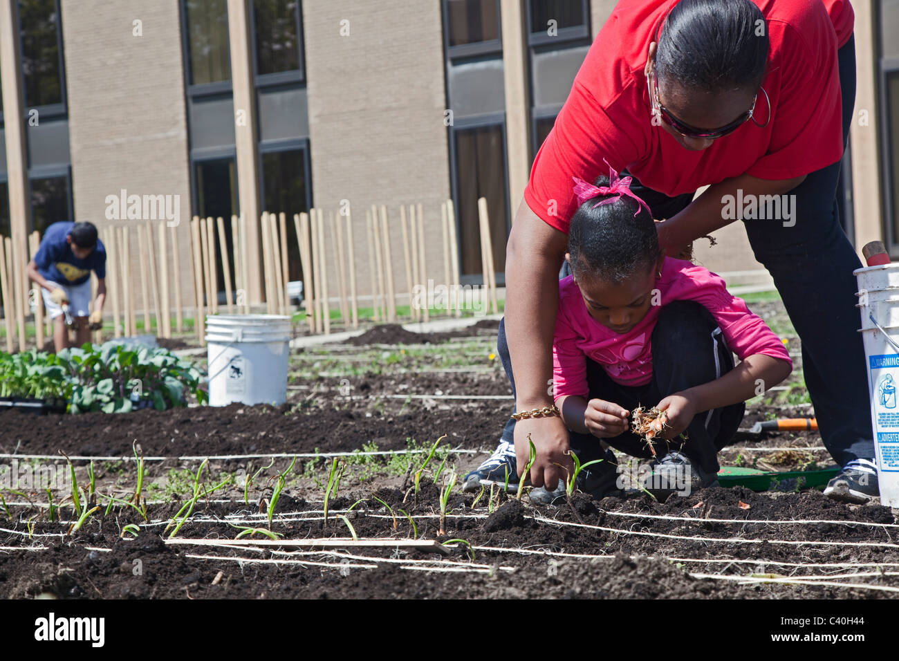 Girl Scouts Hilfe Pflanze Garten Produkte für Community Food Bank wachsen Stockfoto