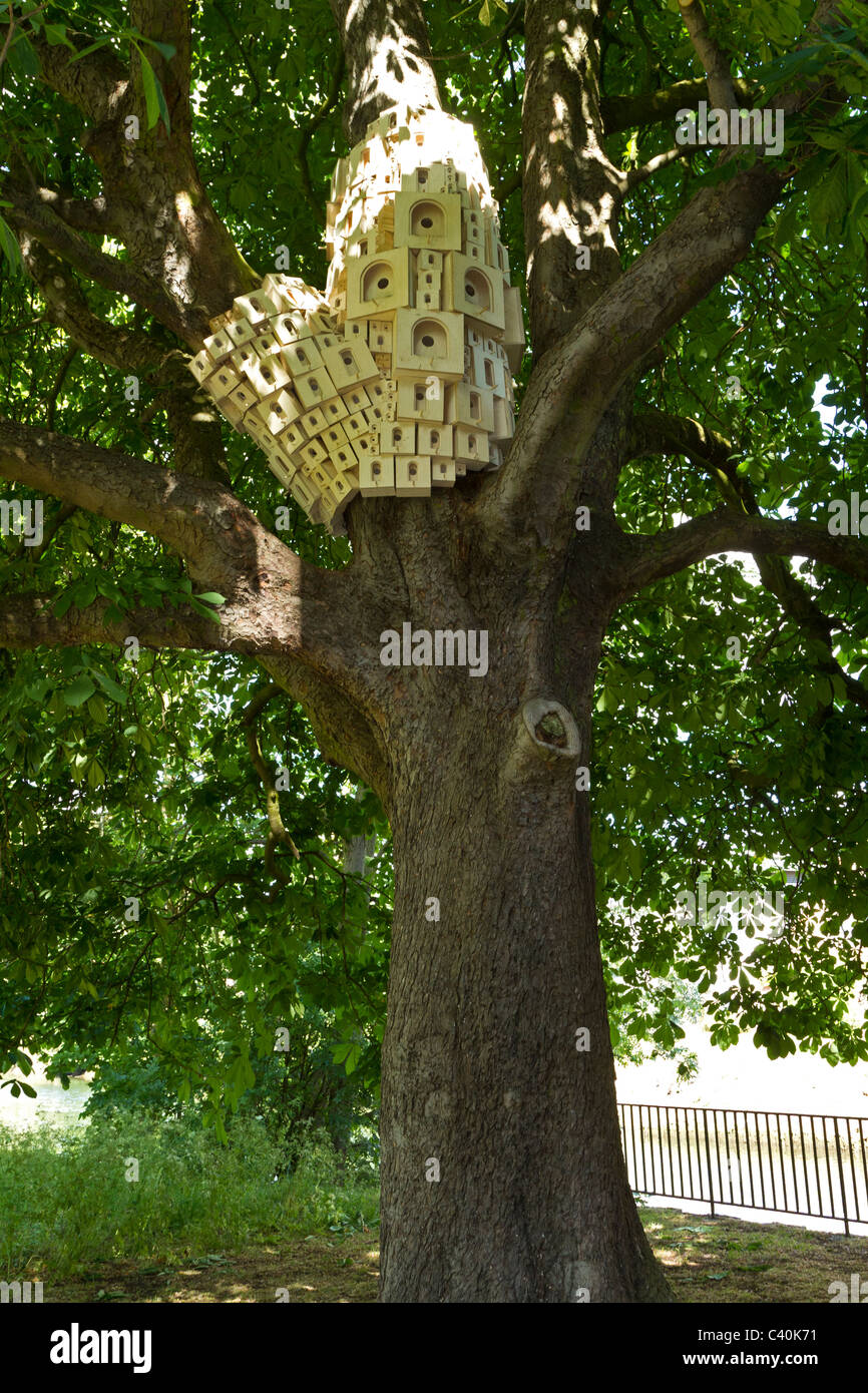 Die Künstlergruppe Fieldworks installiert eine spontane Stadt von Vogel-Boxen in Norwich, Norfolk, Großbritannien. Stockfoto