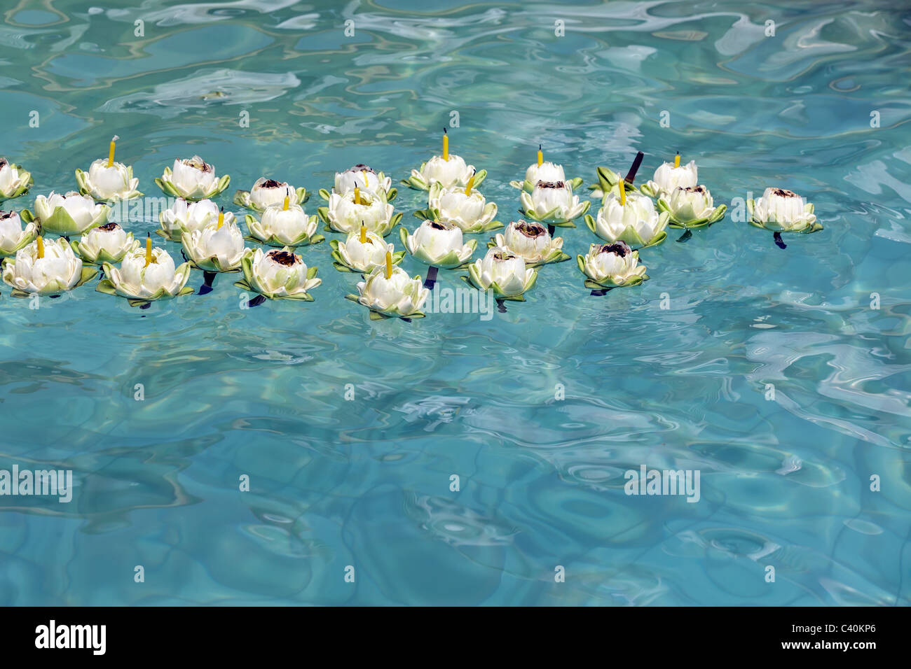 Lotusblüten mit Kerzen schwimmend auf klares Wasser im Tempel Pool, Thailand Stockfoto