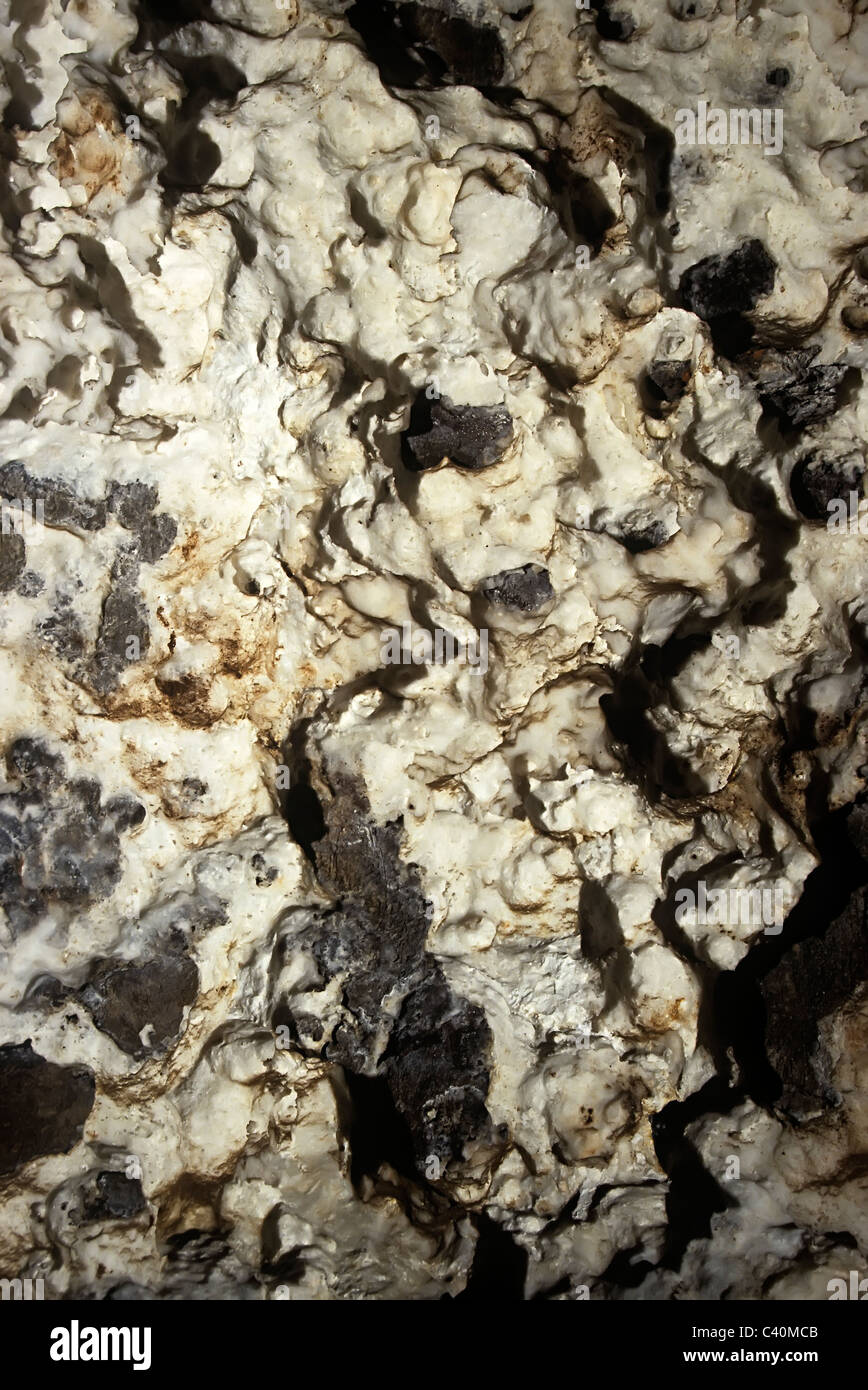 Erodierte Wanddetail zeigt raue Natur Rock Sterkfontein Höhlen Wiege der Menschheit in Südafrika Stockfoto