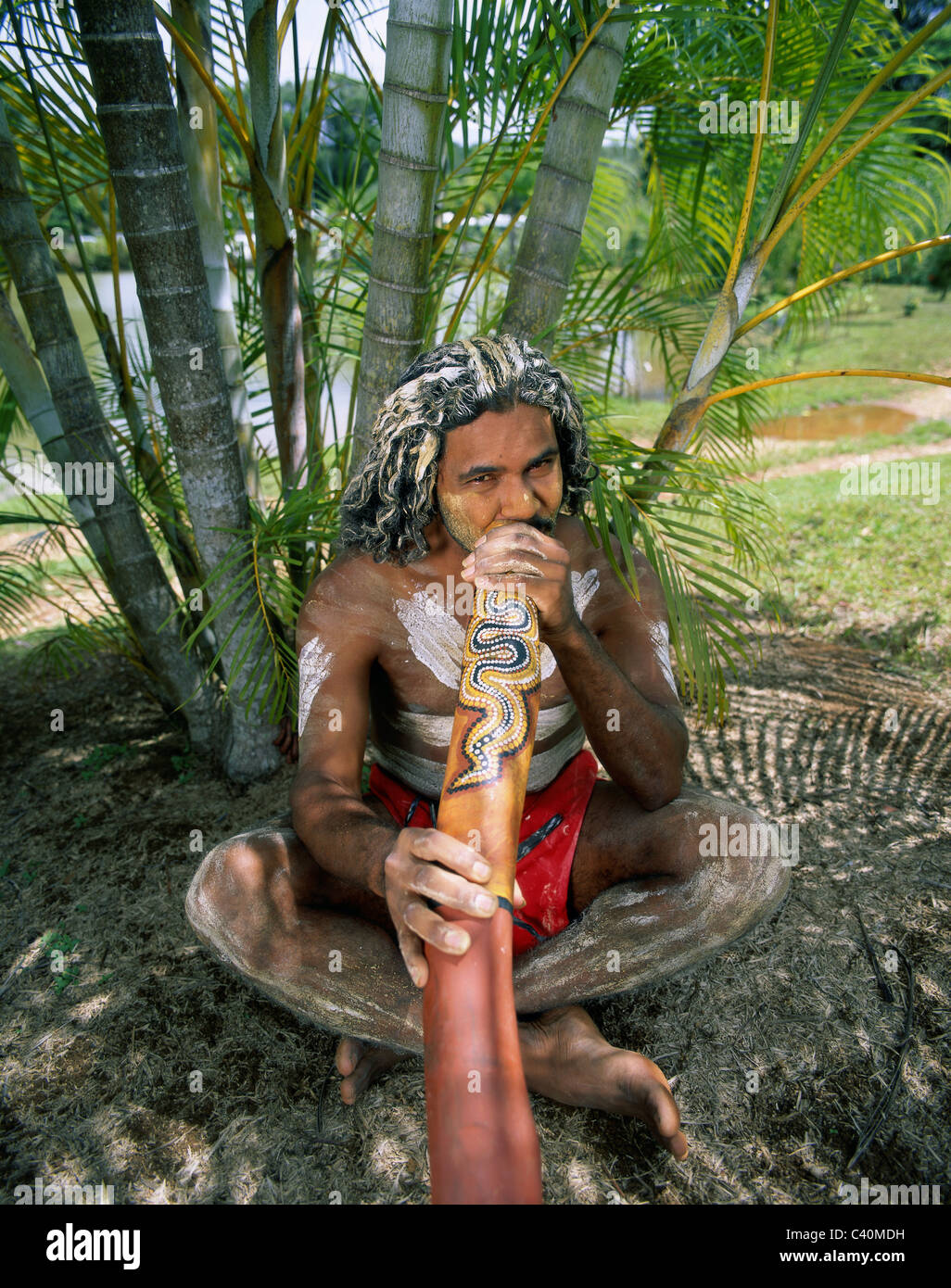 Aborigines, Malen im Freien, Aborigines, Australien, Australian, Cairns, Didgeridoo, ethnischen, Urlaub, Wahrzeichen, Mann, Musik, Native, Stockfoto
