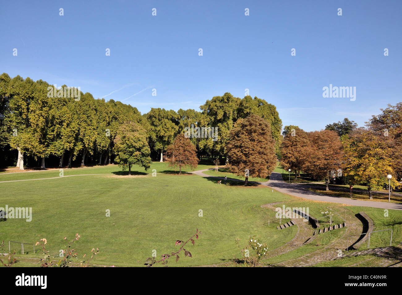 Avenue, Bäume, Deutschland, Pflanzen, Platane Allee, Allee Platenen, Schlossgarten, Stuttgart Stockfoto