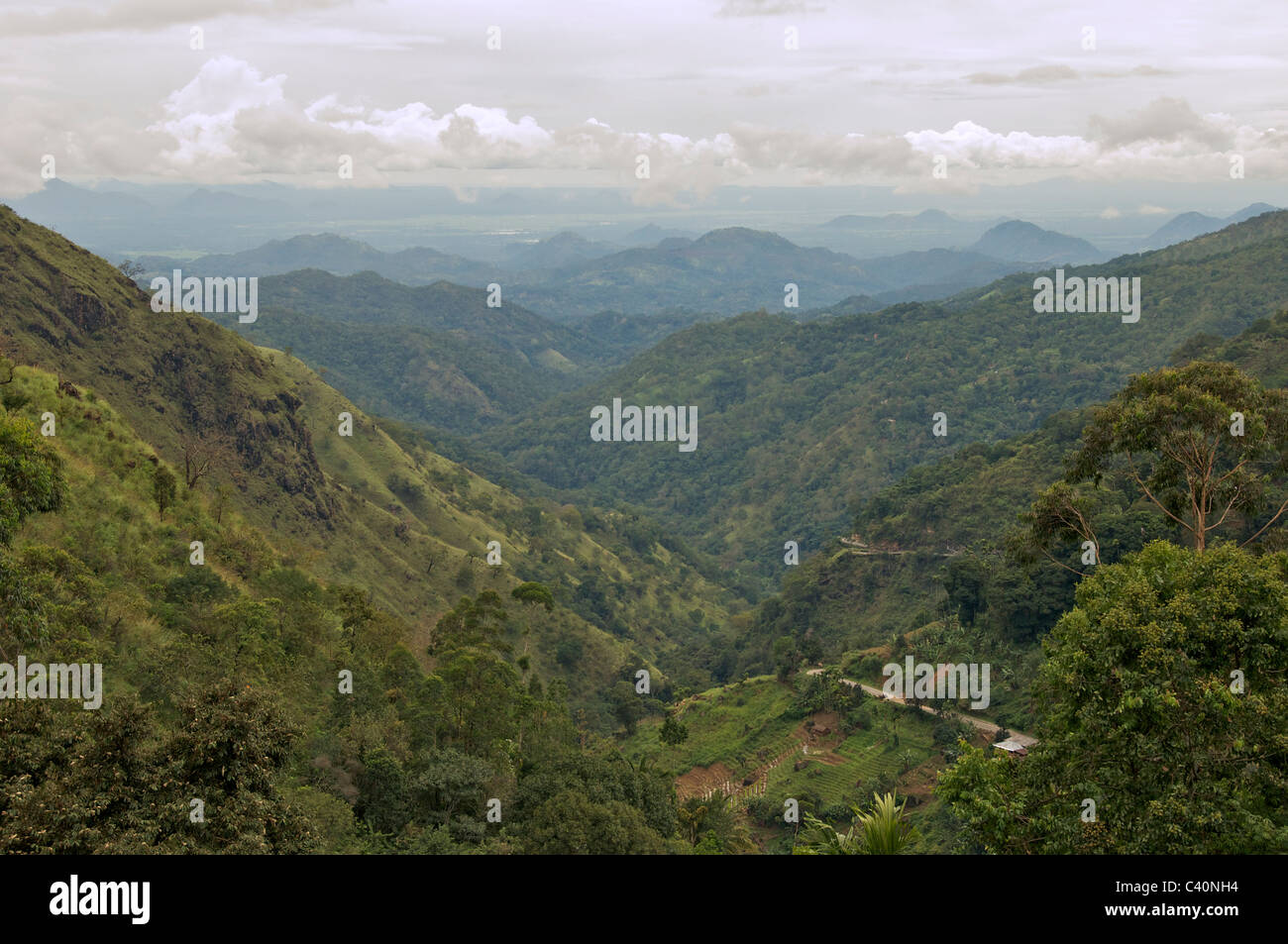 Panoramablick durch Ella Gap der Plains südlichen Hochland Sri Lanka Stockfoto