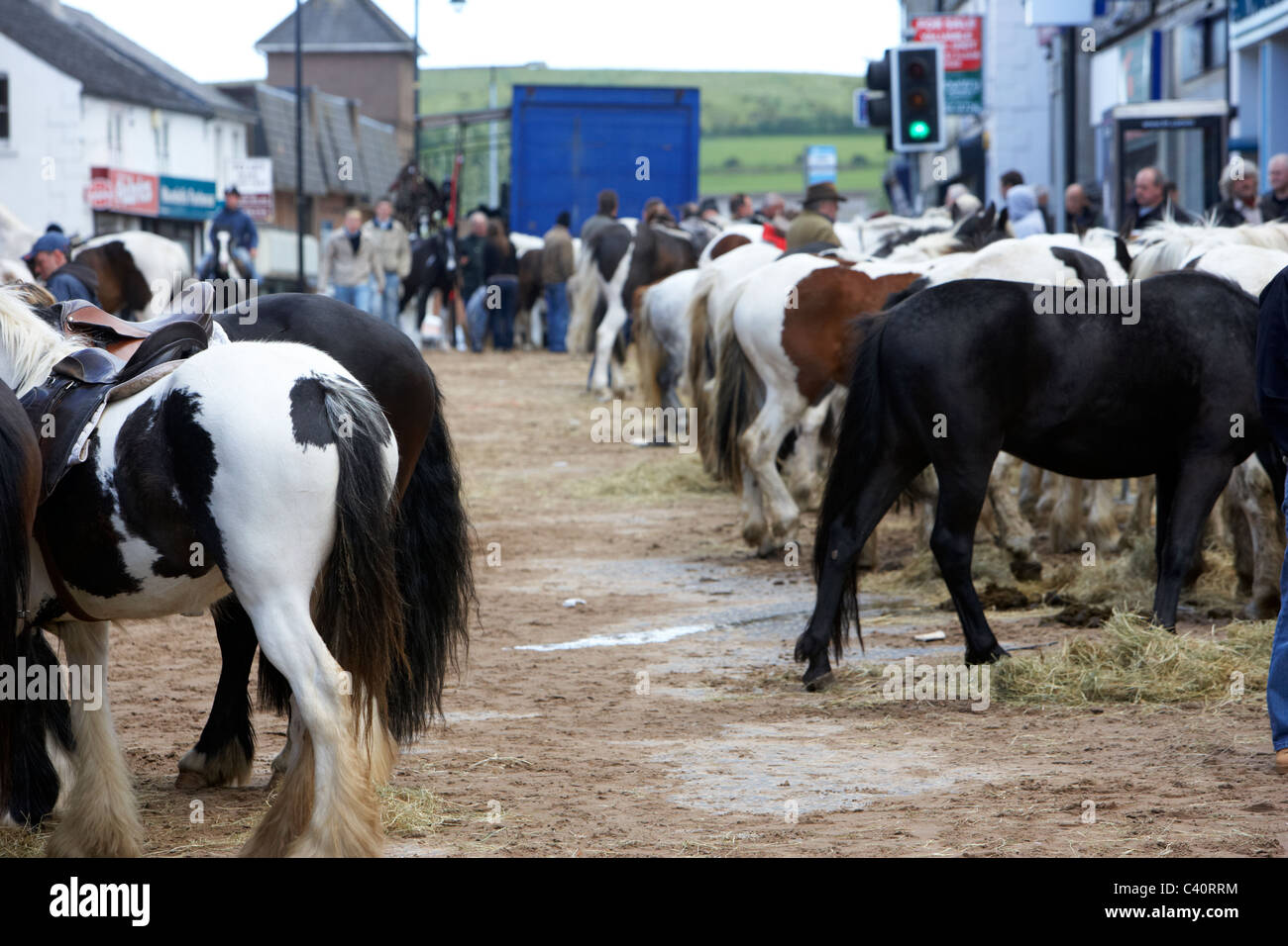 Pferde auf der vorübergehend geschliffen Hauptstraße an der Hennef können fair County Antrim-Nordirland Stockfoto