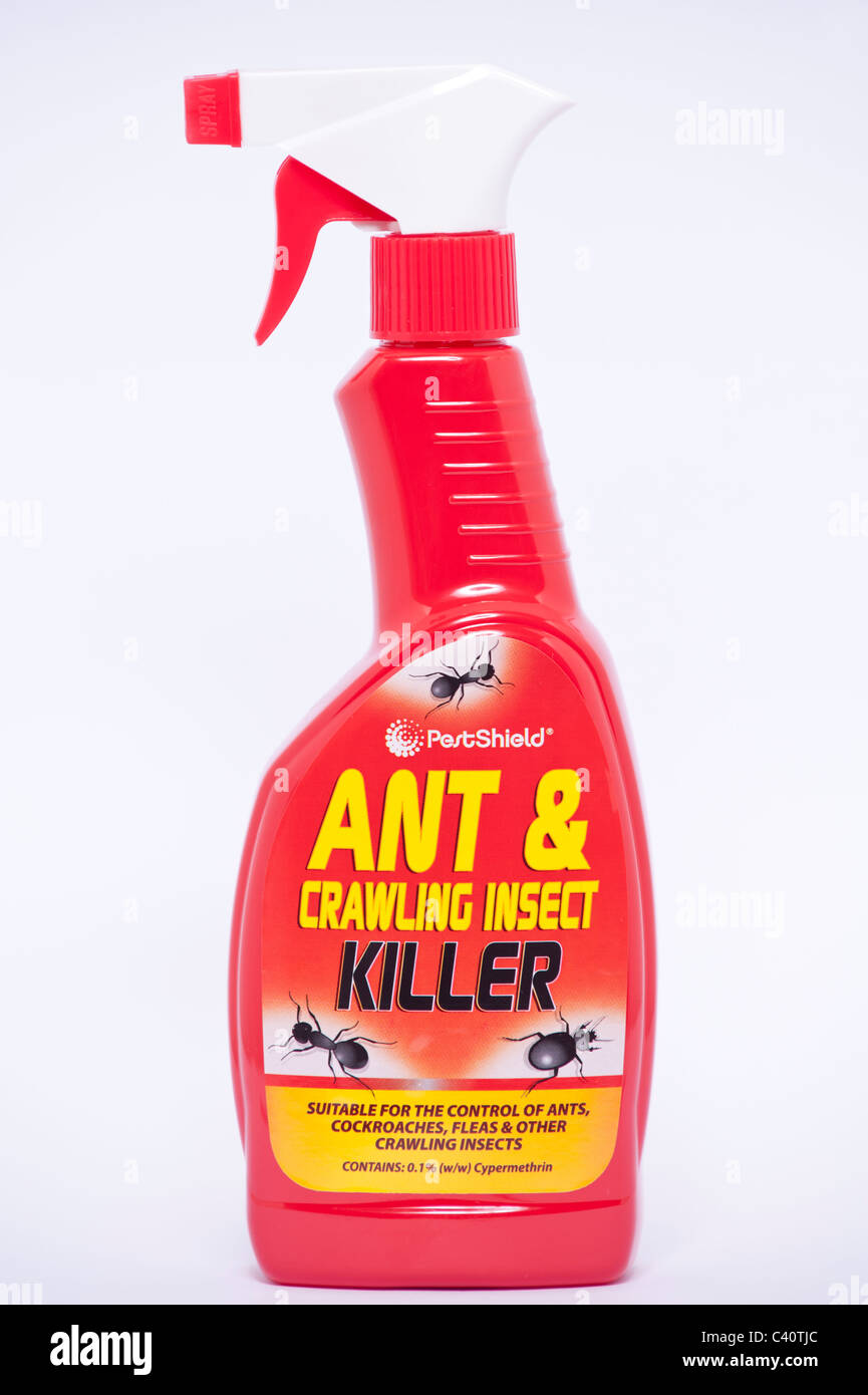 Eine Flasche Pestshield Ant & kriechenden Insekten Killer auf weißem Hintergrund Stockfoto