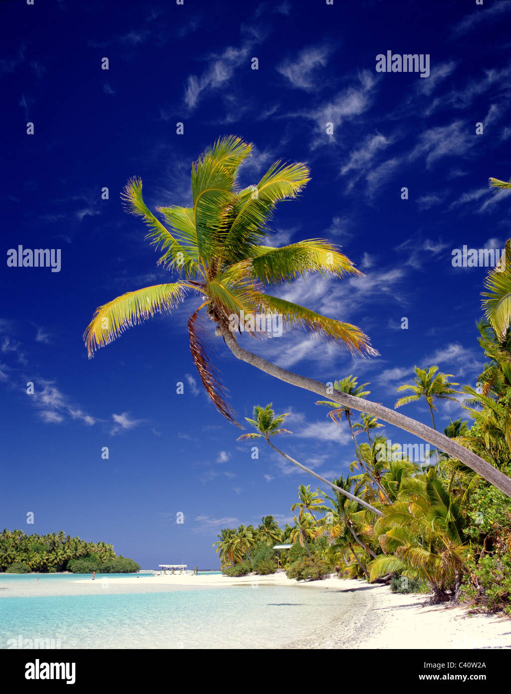 Insel Cook Aitutaki Atoll, Strand, Cook-Inseln, Urlaub, Insel, Wahrzeichen, Palm ...