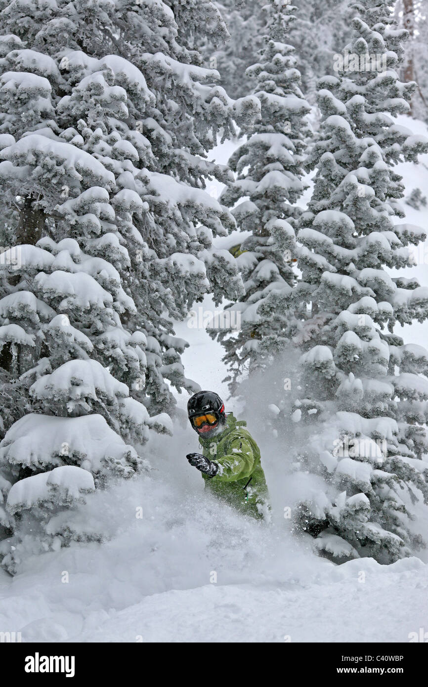Snowboarder führt einen Sprung an Brighton Skigebiet in den Wasatch Mountains. Salt Lake City, Utah, USA, Nordamerika Stockfoto