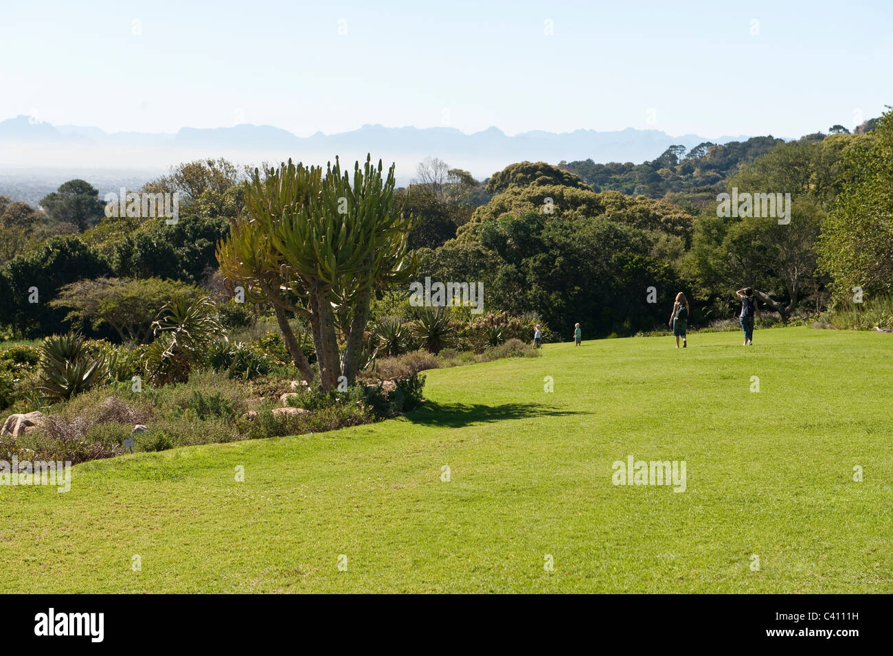 Gäste mit Kindern zu Fuß im Kirstenbosch National Botanical Garden Kapstadt Western Cape Südafrika Stockfoto