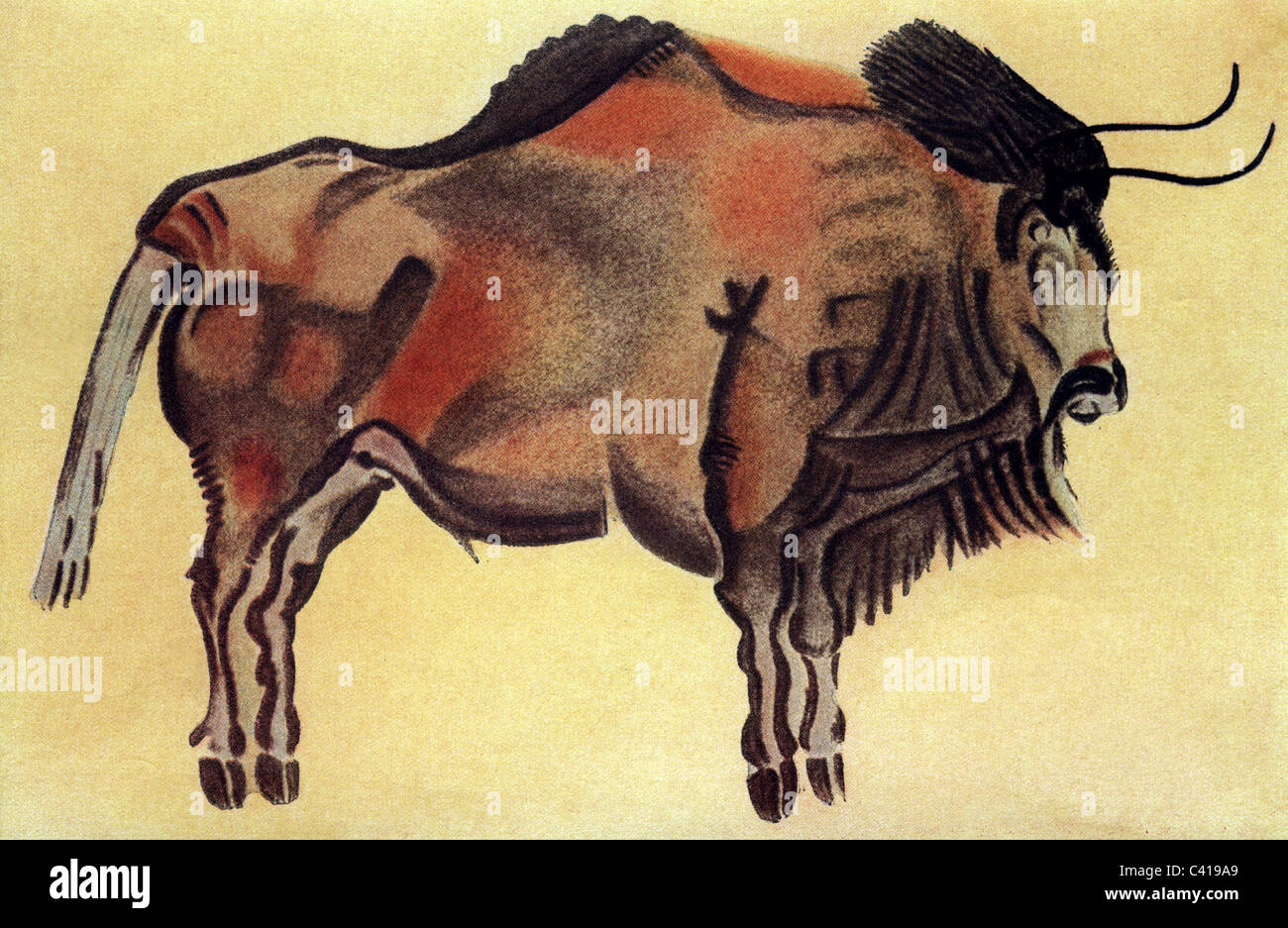 Antike / Vorgeschichte, Höhlenmalereien, Altamira, Bisons, Zeichnung nach Höhlenmalereien, Büffel, Büffel, Spanien, Steinzeit, Neolithikum, Urzeiten, historisch, historisch, prähistorische Zeiten, Höhlenmalereien, Gemälde, Additional-Rights-Clearences-not available Stockfoto