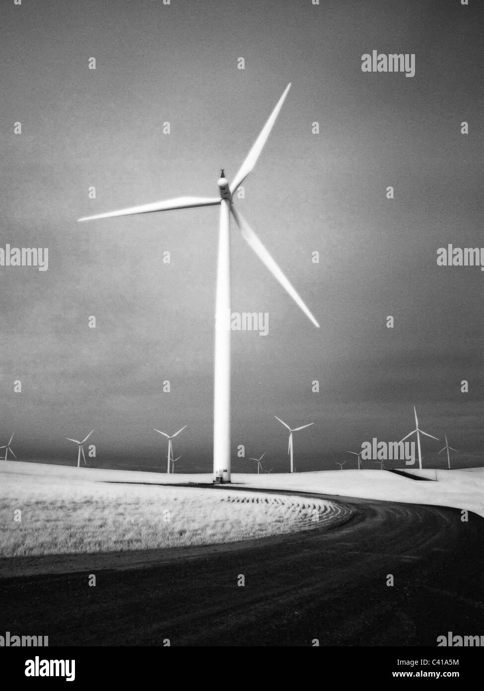 Stromerzeugende Windmühlen. Nachwachsenden Rohstoffen. Saubere Energie. Stockfoto