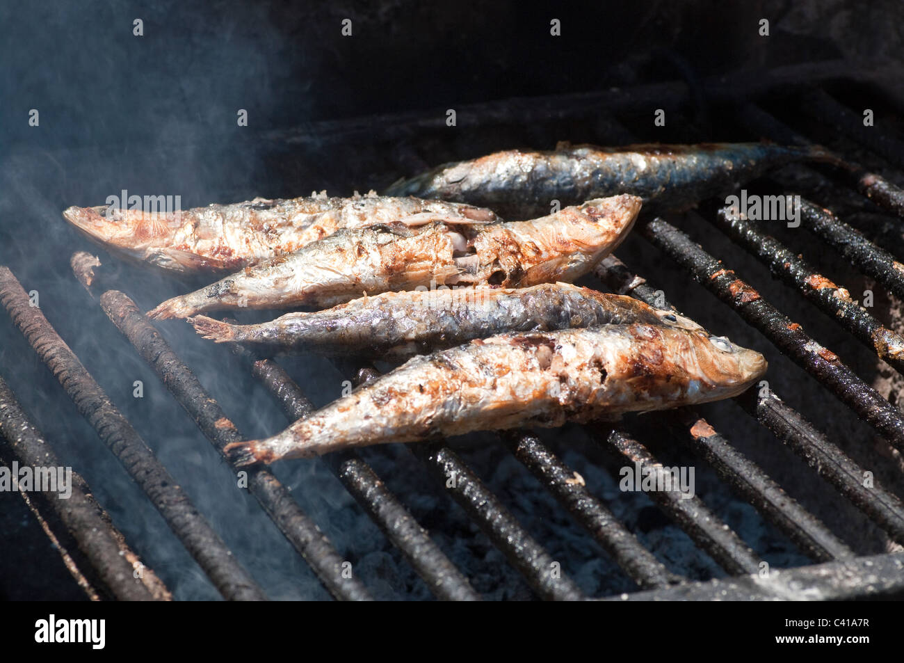Frische Sardinen grillen auf einem Grill auf den Azoren, Portugal, während eines traditionellen Grillens im Freien. Stockfoto