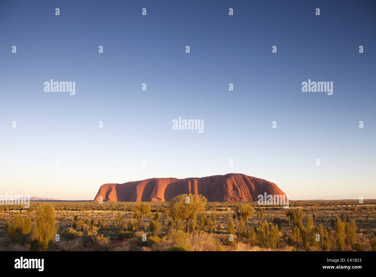 Ayers Rock - Uluru - Red Rock im Herzen des outback Stockfoto