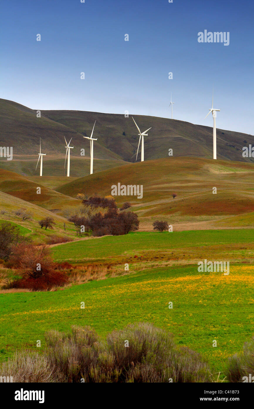 Stromerzeugende Windprojekt Biggs, Oregon Stockfoto