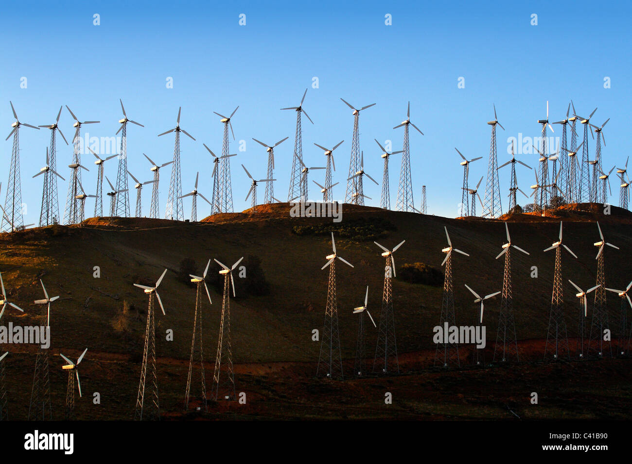 Stromerzeugende Windmühlen Tehachapi, CA Stockfoto