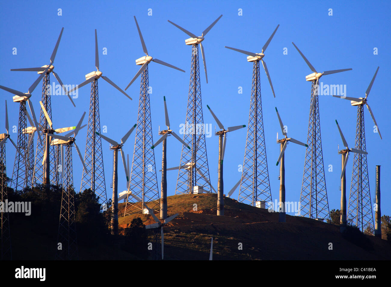 Stromerzeugende Windmühlen Tehachapi, CA Stockfoto