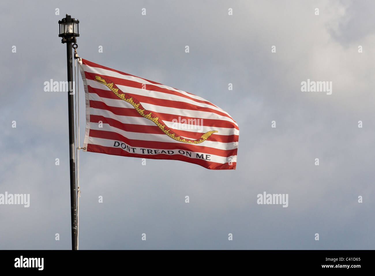 USA und Bundesstaaten Fahne am Stab - Fahne am Stab Hawaii