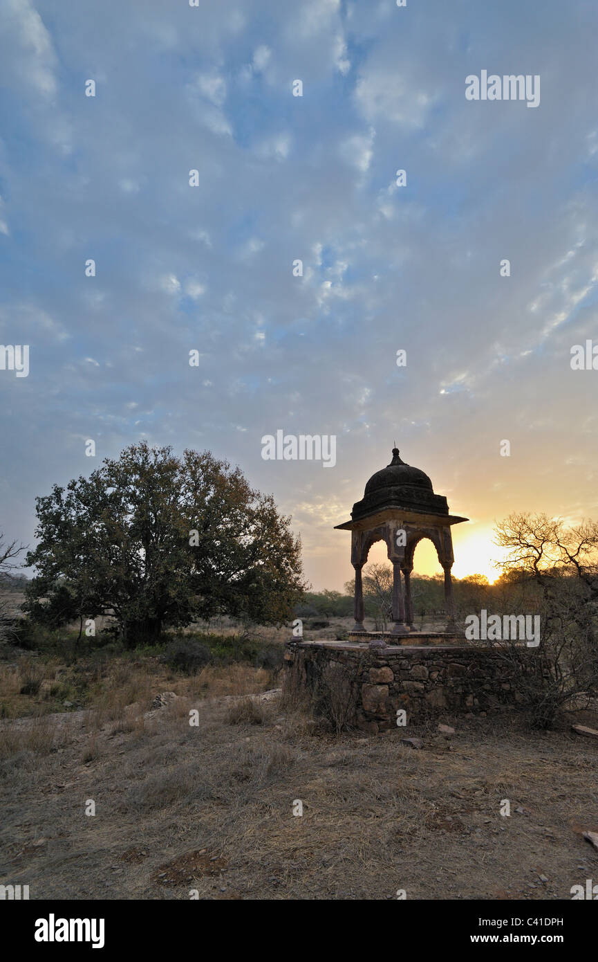 Reservieren Sie eine Chattri oder Hindu-Tempel in Rajasthans Ranthambore tiger Stockfoto