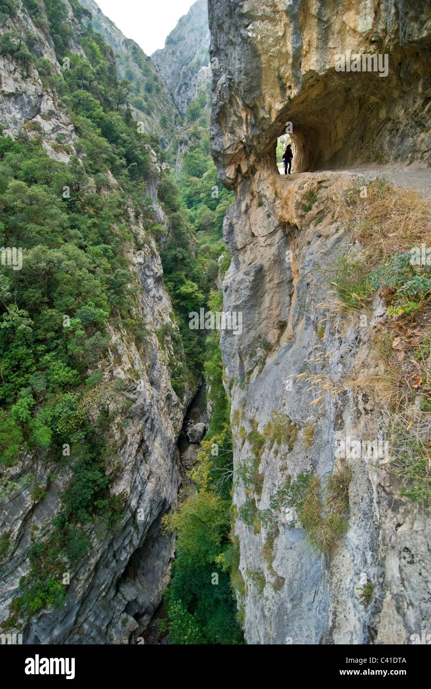 Walker auf die dramatische Fußweg in die Garganta del sorgen, in der Nähe von Kain. Picos de Europa, Asturien. Stockfoto