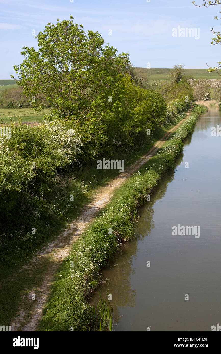 Kanal Leinpfad Allington Wiltshire UK Stockfoto