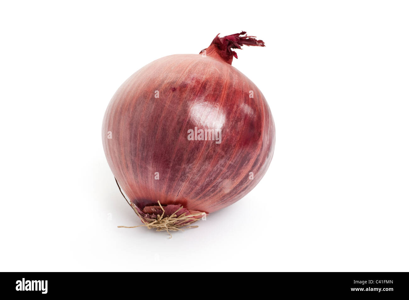 Rote Zwiebeln mit weißem Hintergrund Stockfoto