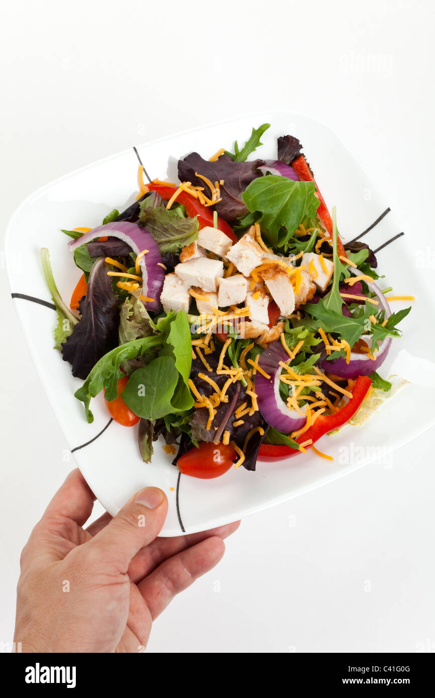Salat, Salat, Mizuna, Zwiebel für Hintergrund Stockfoto