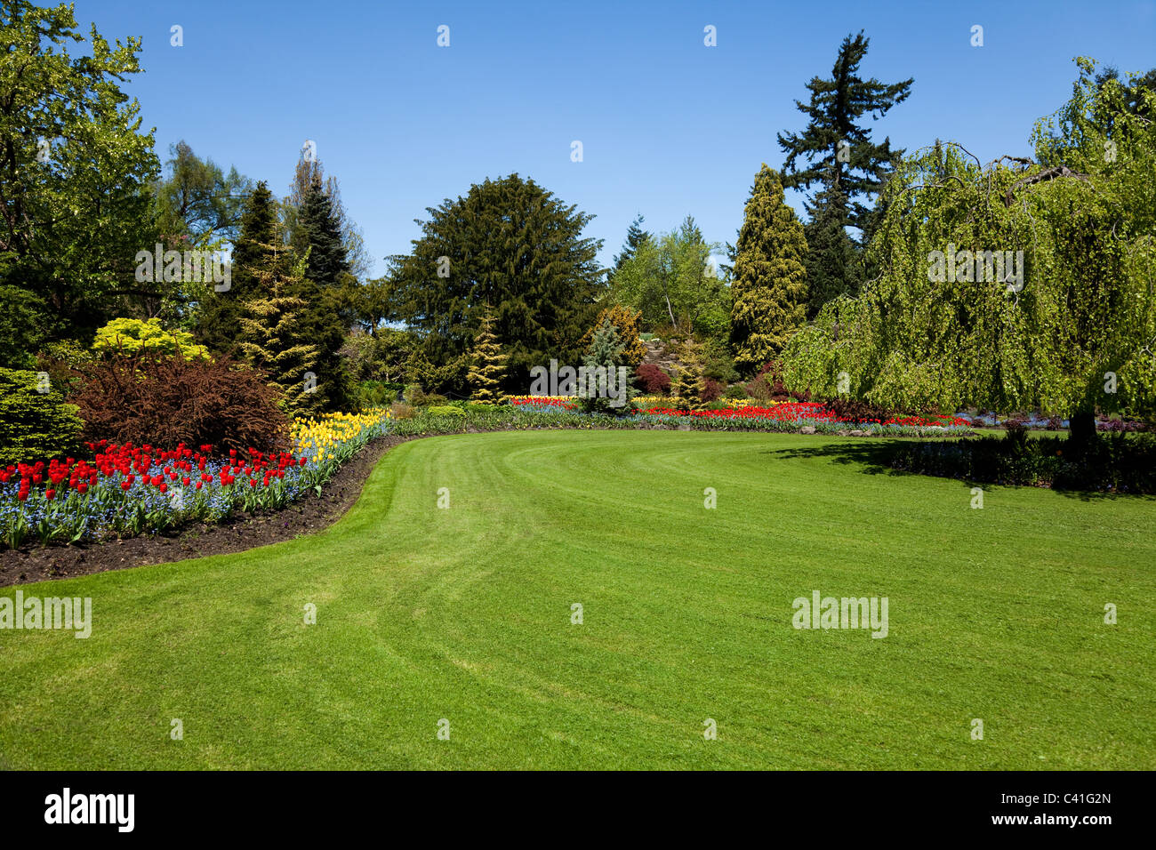 Spring Flower Garden für Hintergrund Stockfoto