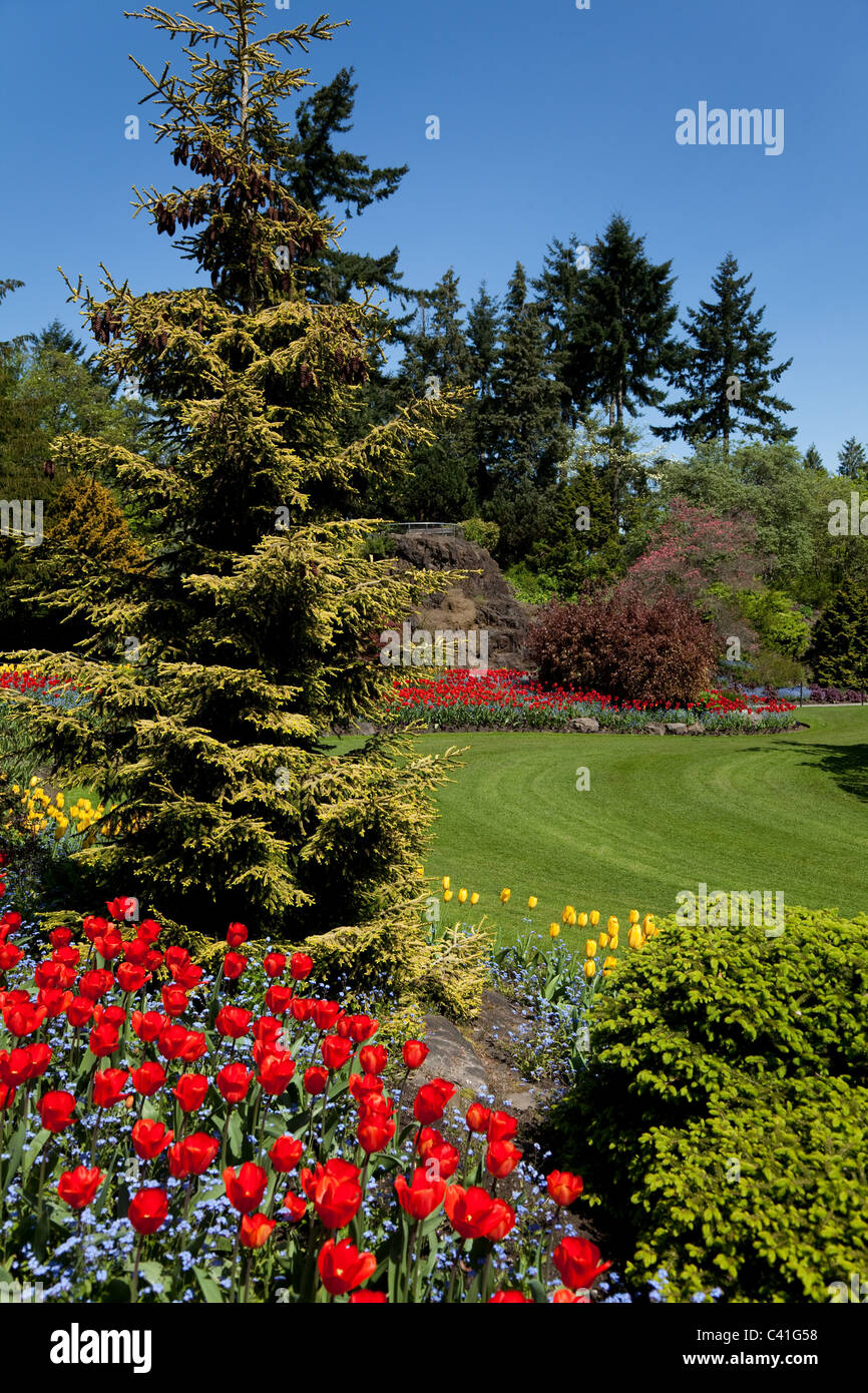 Spring Flower Garden für Hintergrund Stockfoto